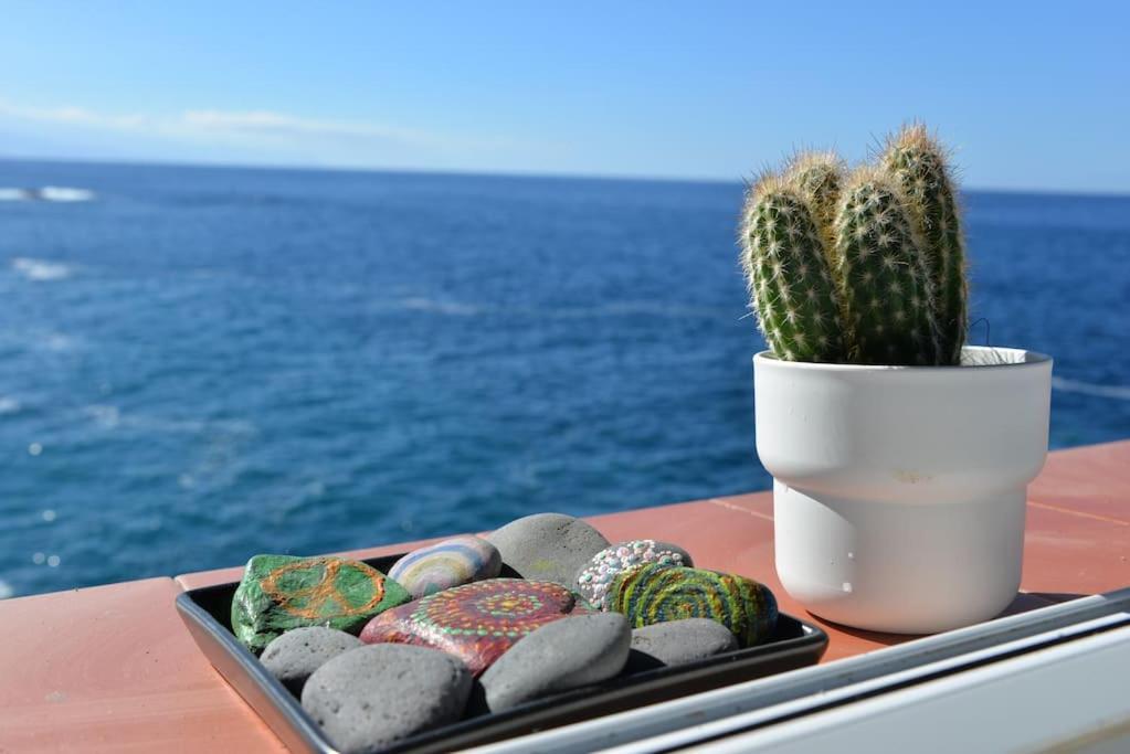 Beachfront Apartment - Tacoronte Santa Cruz de Tenerife Exteriör bild